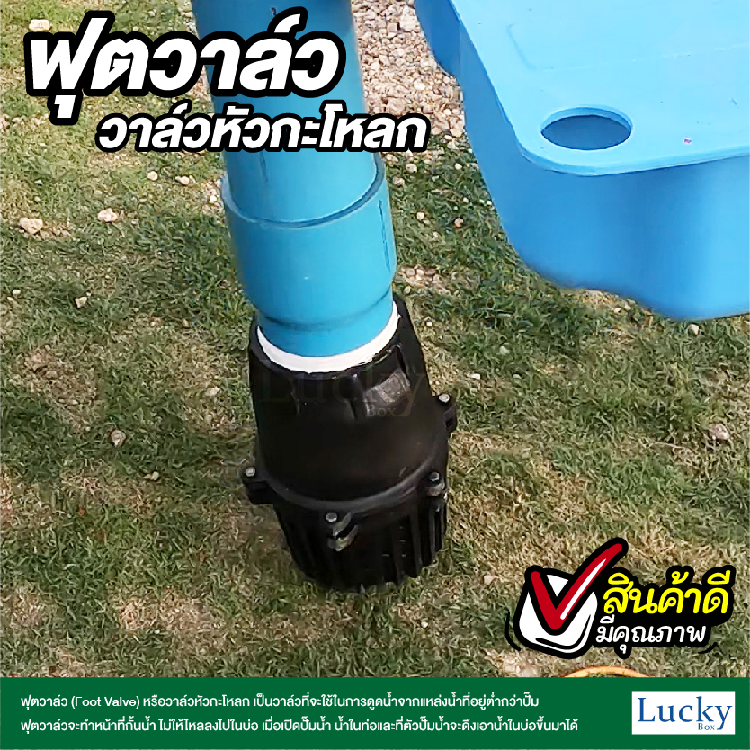 ฟุตวาล์ว (Foot Valve) วาล์วหัวกะโหลก ขนาด 2 นิ้ว