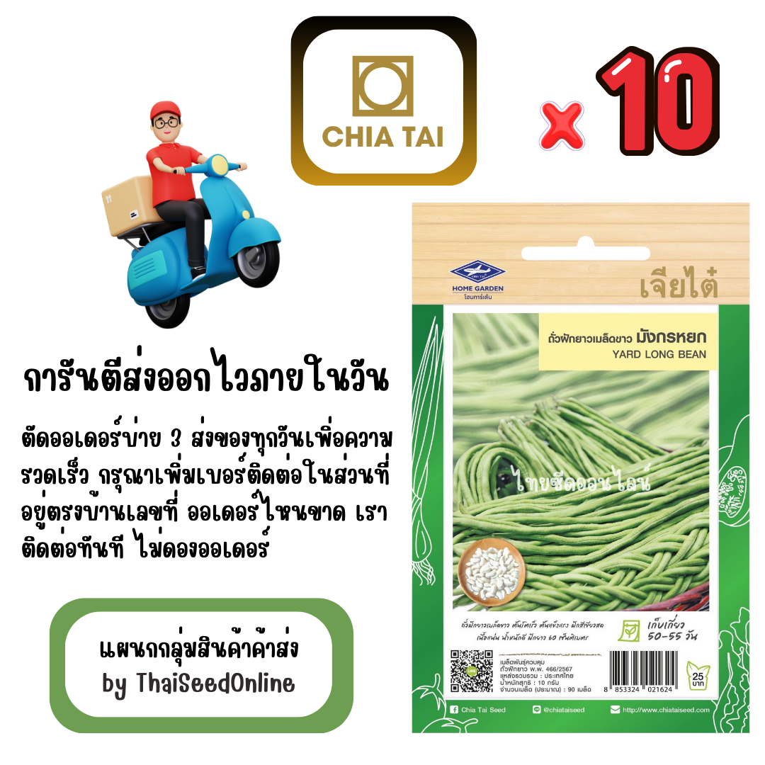 CTF1 x 10 เมล็ดผักซองเจียไต๋ ถั่วฝักยาว เมล็ดขาว มังกรหยก สินค้ายกแพ็ค