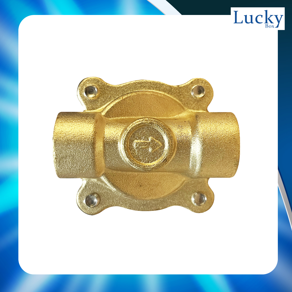Solenoid Valve โซลินอยด์ทองเหลือง 1/2 นิ้ว (4 หุน) AC220V