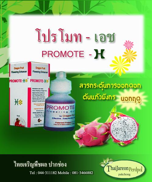 Promote - H ฮอร์โมกระตุ้นแก้วมังกร แก้วมังกรนอกฤดู