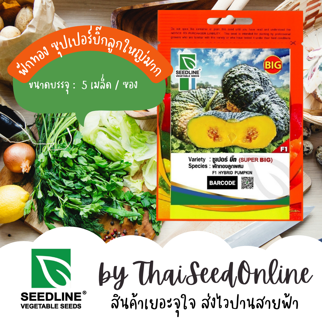 SL เมล็ดพันธุ์ซองเล็ก ฟักทองซุปเปอร์บิ๊ก ตราซีดไลน์ Pumpkin Super Big