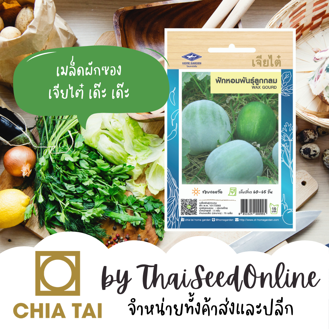 CTOP เมล็ดพันธุ์ ฟักหอม ตราเจียไต๋ Wax Gourd