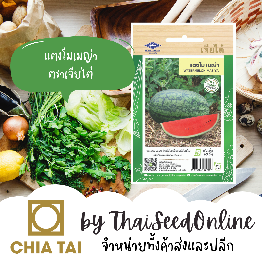 CTF1 เมล็ดพันธุ์สายพันธุ์ลูกผสม (F1) แตงโมตอปิโดเมญ่า ตราเจียไต๋ Watermelon