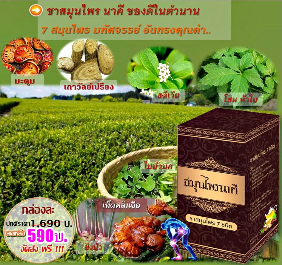 สมุนไพรนาคี สมุนไพร 7 ชนิด พิชิต โรคร้าย