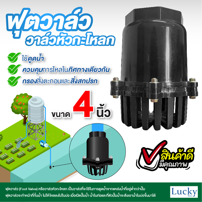 ฟุตวาล์ว (Foot Valve) วาล์วหัวกะโหลก ขนาด 4 นิ้ว