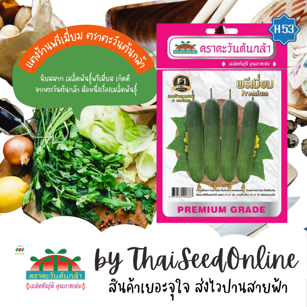 Advance Seeds(ตราตะวันต้นกล้า) ADVF1 ซฟ เมล็ดพันธุ์ แตงร้านพรีเมี่ยม ตราตะวันต้นกล้า H53