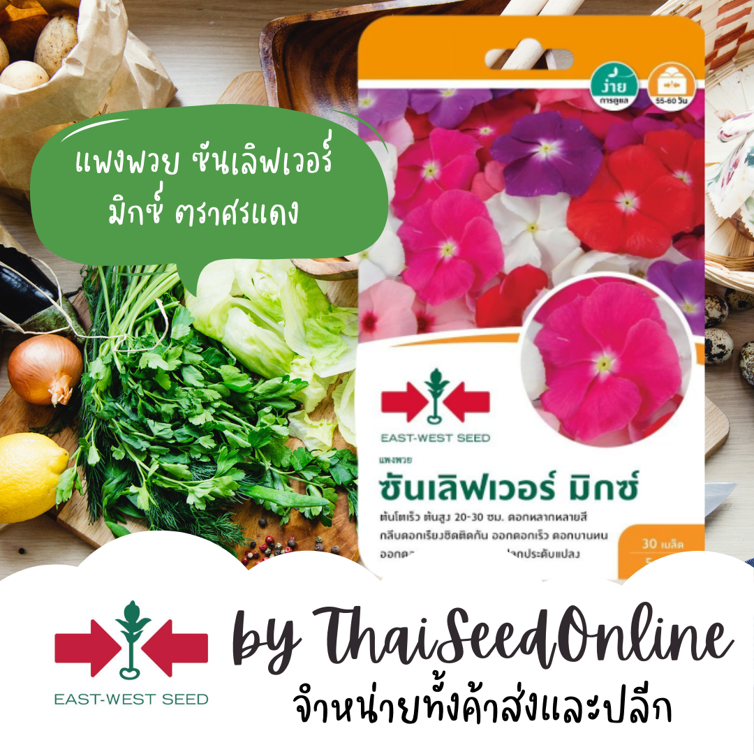 GGEW เมล็ดพันธุ์ซฟ ดอกไม้ แพงพวย ซันเลิฟเวอร์ มิกซ์ 30 เมล็ด ตราศรแดง