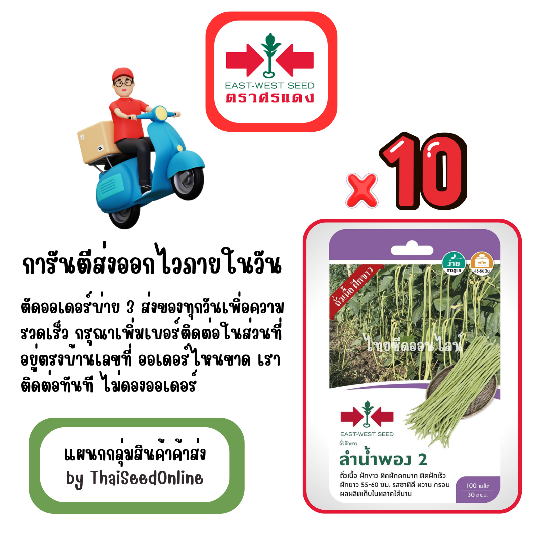 GGx10 เมล็ดผักซองศรแดง ลำน้ำพอง ถั่วฝักยาว สินค้ายกแพ็ค