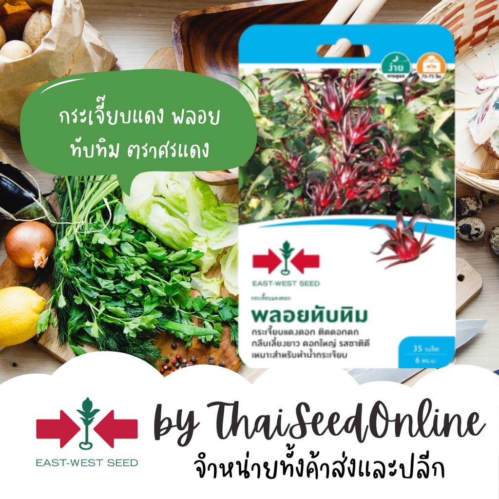 GGEW เมล็ดพันธุ์ กระเจี๊ยบแดงดอก พลอยทับทิม 35 เมล็ด ตราศรแดง Roselle กระเจี๊ยบแดง