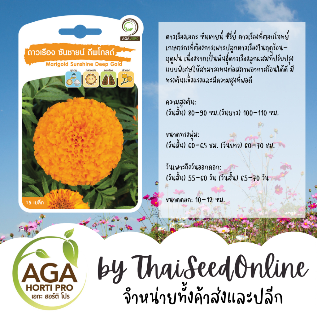 AGA Agro(เอกะ อะโกร) AGAPREMIUM ดาวเรืองซันชายน์ดีพโกลด์ เมล็ดดาวเรือง 15เมล็ด ตราเอกะอะโกร Marigold