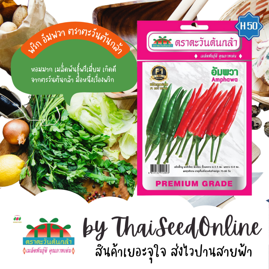 Advance Seeds(ตราตะวันต้นกล้า) ADVF1 ซฟ เมล็ดพันธุ์ พริกขี้หนูอัมพวา ตราตะวันต้นกล้า H50