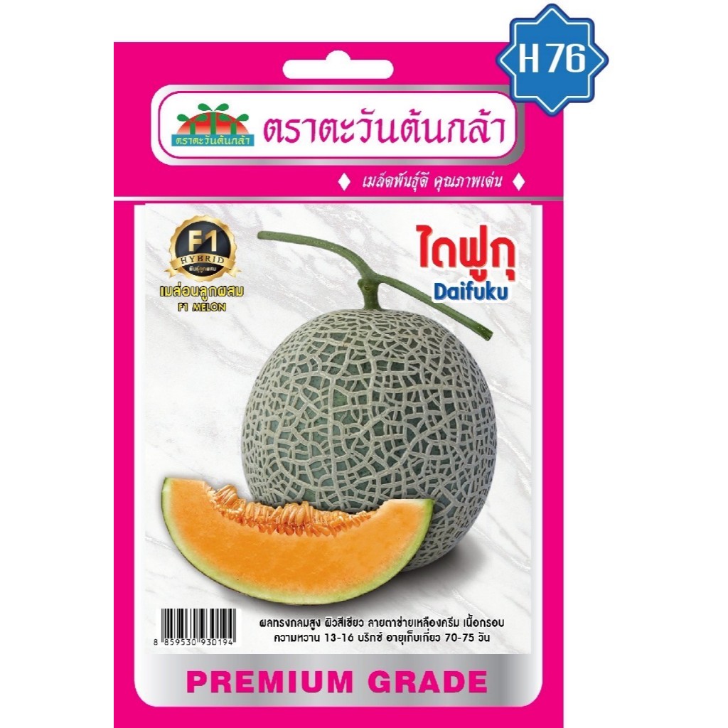 Advance Seeds(ตราตะวันต้นกล้า) Advance Seeds(ตราตะวันต้นกล้า) ADVF1 ซฟ เมล็ดพันธุ์ เมล่อนไดฟุกุ ตราตะวันต้นกล้า H76