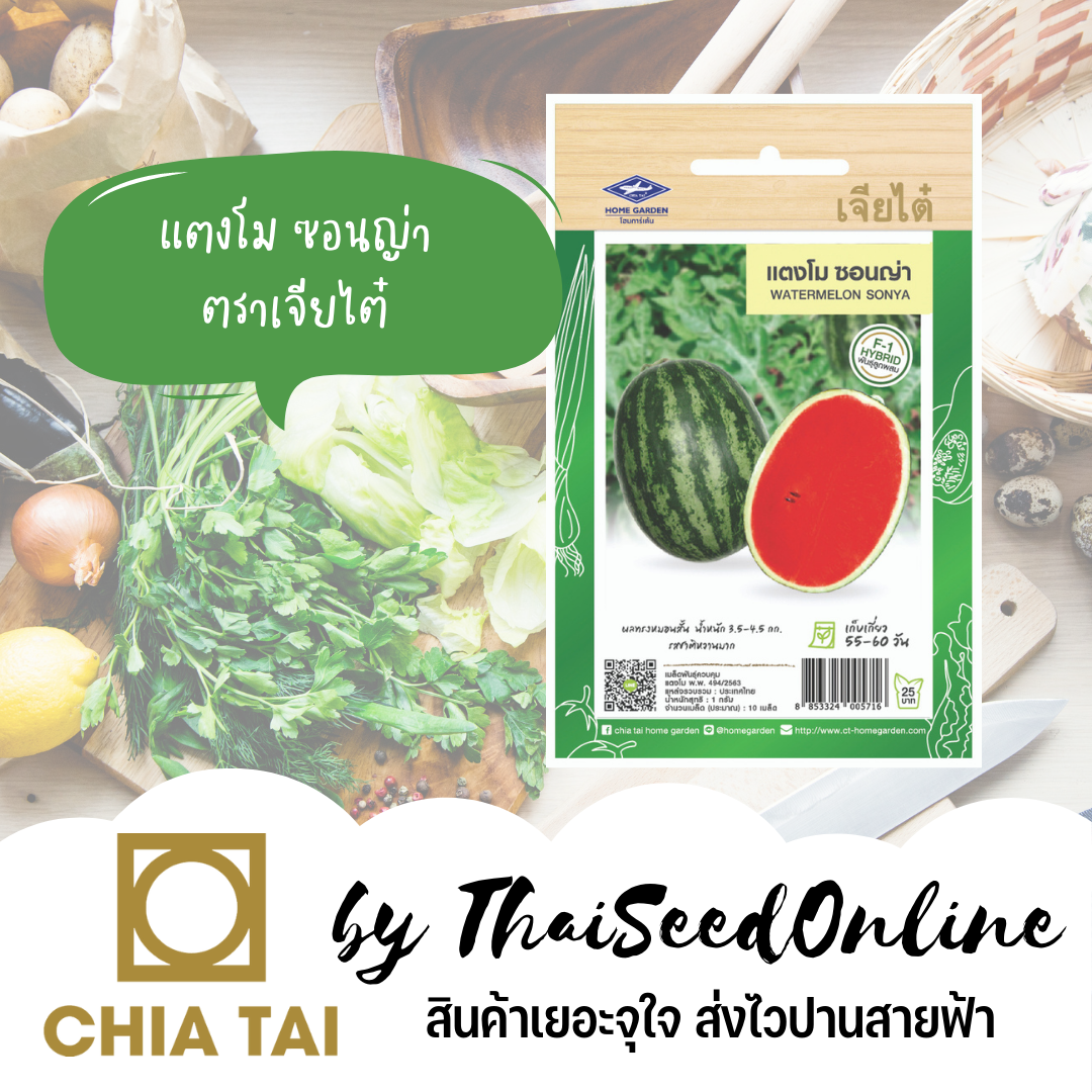 CTF1 เมล็ดพันธุ์ แตงโมซอนญ่า ตราเจียไต๋