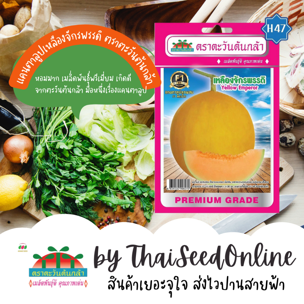 Advance Seeds(ตราตะวันต้นกล้า) ADVF1 ซฟ เมล็ดพันธุ์แคนตาลูป เหลืองจักรพรรดิ ตราตะวันต้นกล้า H47