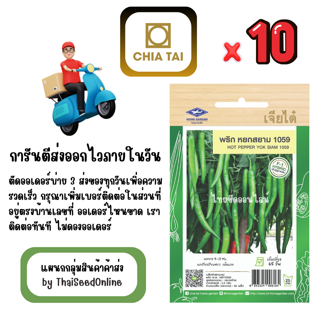 CTF1 x 10 เมล็ดผักซองเจียไต๋ พริกหนุ่มเขียว หยกสยาม1059 สินค้ายกแพ็ค