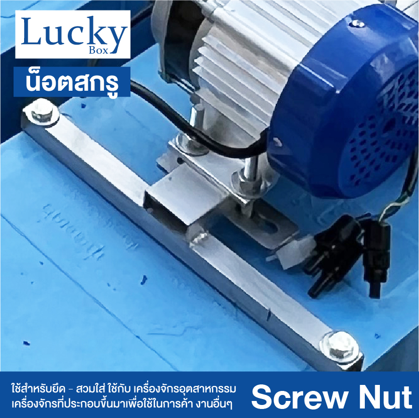 น็อต+สกรู+2แหวน SCREW NUT ขนาด 5/8x3-1/2" (5 หุน ยาว 3.5 นิ้ว)