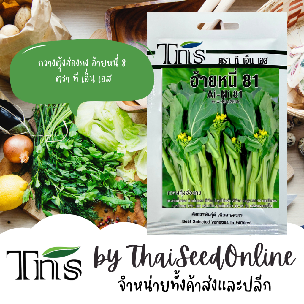 TNS(ทีเอ็นเอส) TNS เมล็ดพันธุ์แบบซองเล็ก กวางตุ้งฮ่องกง อ้ายหนี่ 81 ตรา ที เอ็น เอส