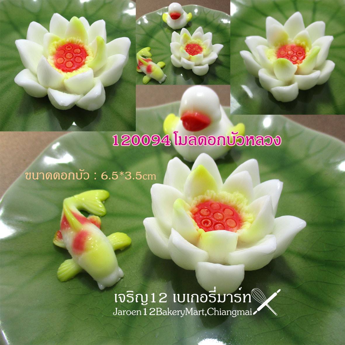 โมลซิลิโคน ปลาคาร์ฟ