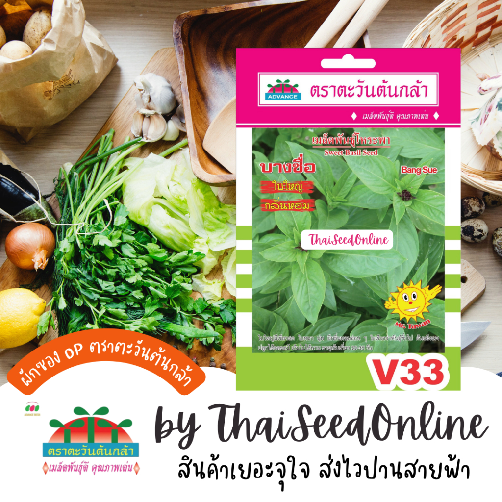 Advance Seeds(ตราตะวันต้นกล้า) ADVOP ซฟ เมล็ดพันธุ์ โหระพา บางซื่อ ประมาณ 1500 เมล็ด ตราตะวันต้นกล้า V33
