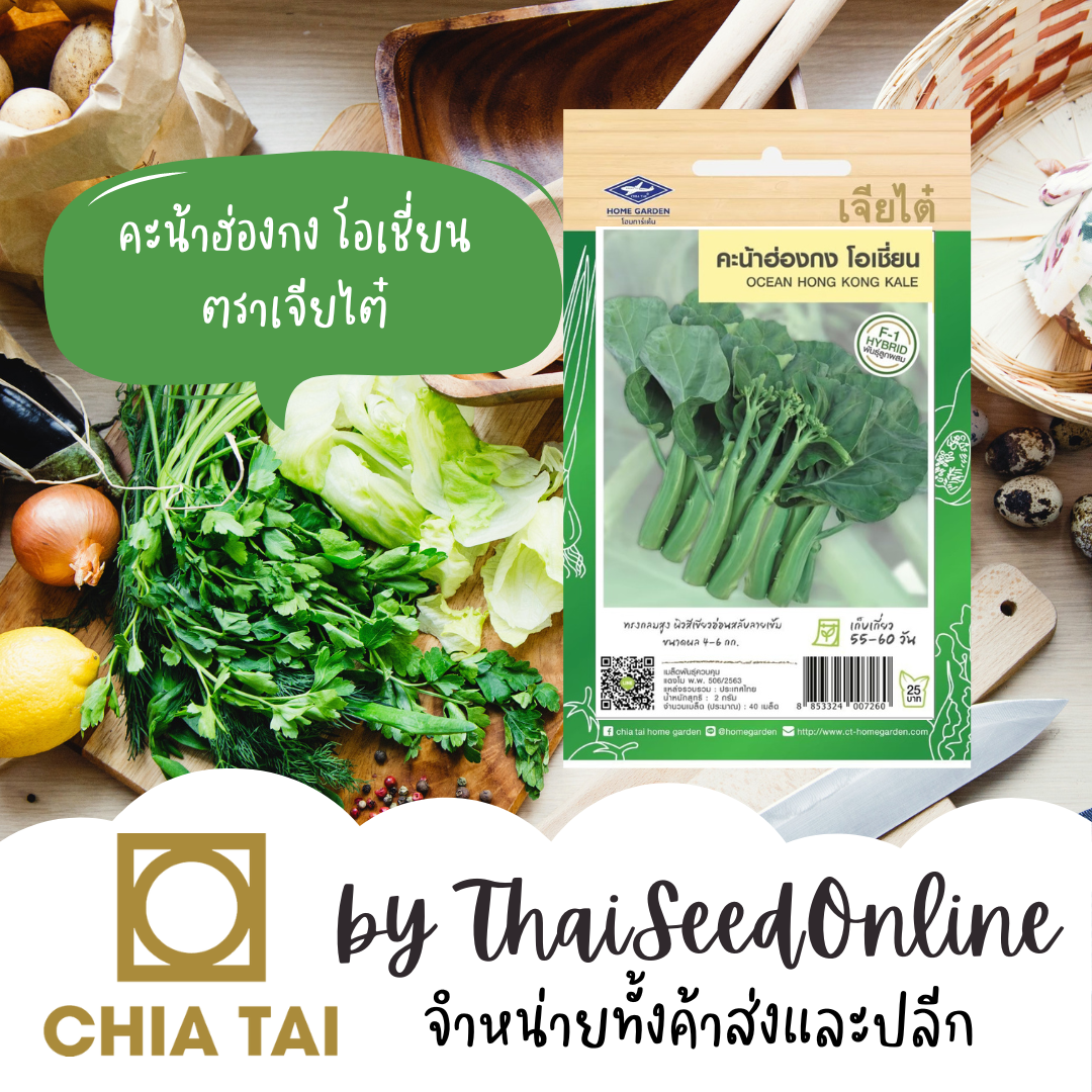 CTF1 เมล็ดพันธุ์ คะน้าฮ่องกง โอเชี่ยน ตราเจียไต๋ HongKong Kale