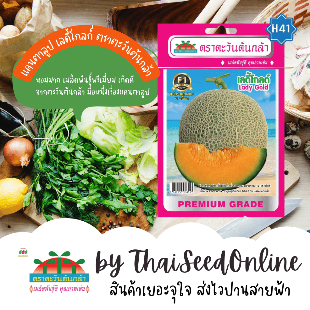 Advance Seeds(ตราตะวันต้นกล้า) ADVF1 ซฟ เมล็ดพันธุ์ลูกผสม เมล่อน เลดี้โกลด์ ตราตะวันต้นกล้า H41 Lady Gold Melon