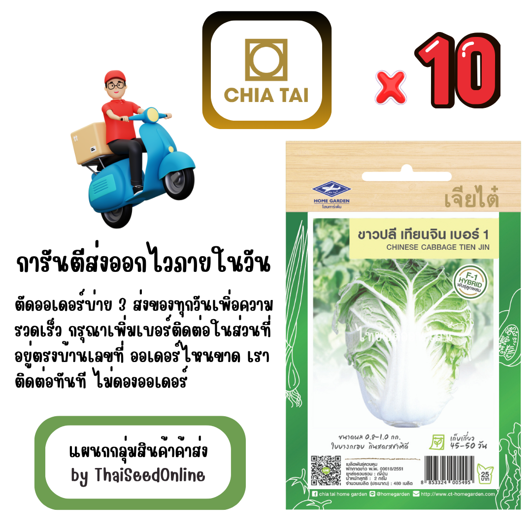 CTF1 x 10 เมล็ดผักซองเจียไต๋ ผักกาดขาวปลี เทียนจิน สินค้ายกแพ็ค