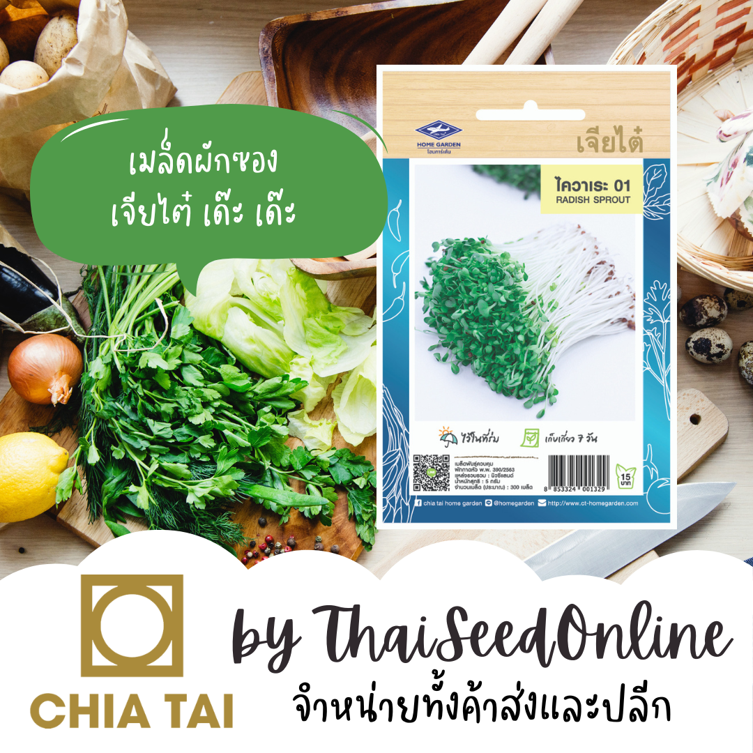 CTOP เมล็ดพันธุ์ ไควาเระ 01 ประมาณ300เมล็ด ตราเจียไต๋ Radish Sprout ต้นอ่อนงอก ต้นอ่อนไควาเระ Radish Sprout Seeds