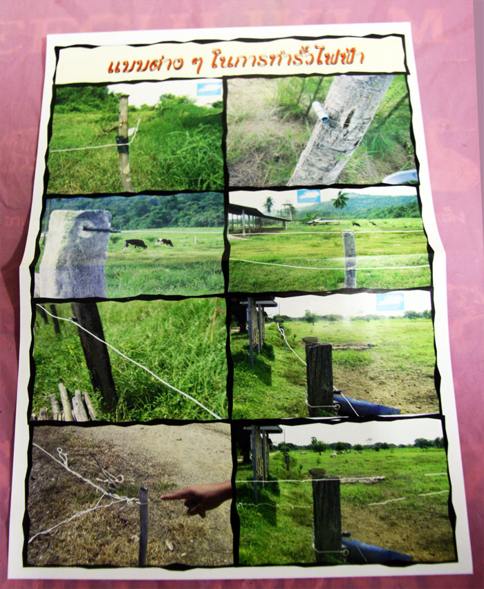 เครื่องควบคุมรั้วไฟฟ้า กั้นวัว และสัตว์เลี้ยง ปศุสัตว์