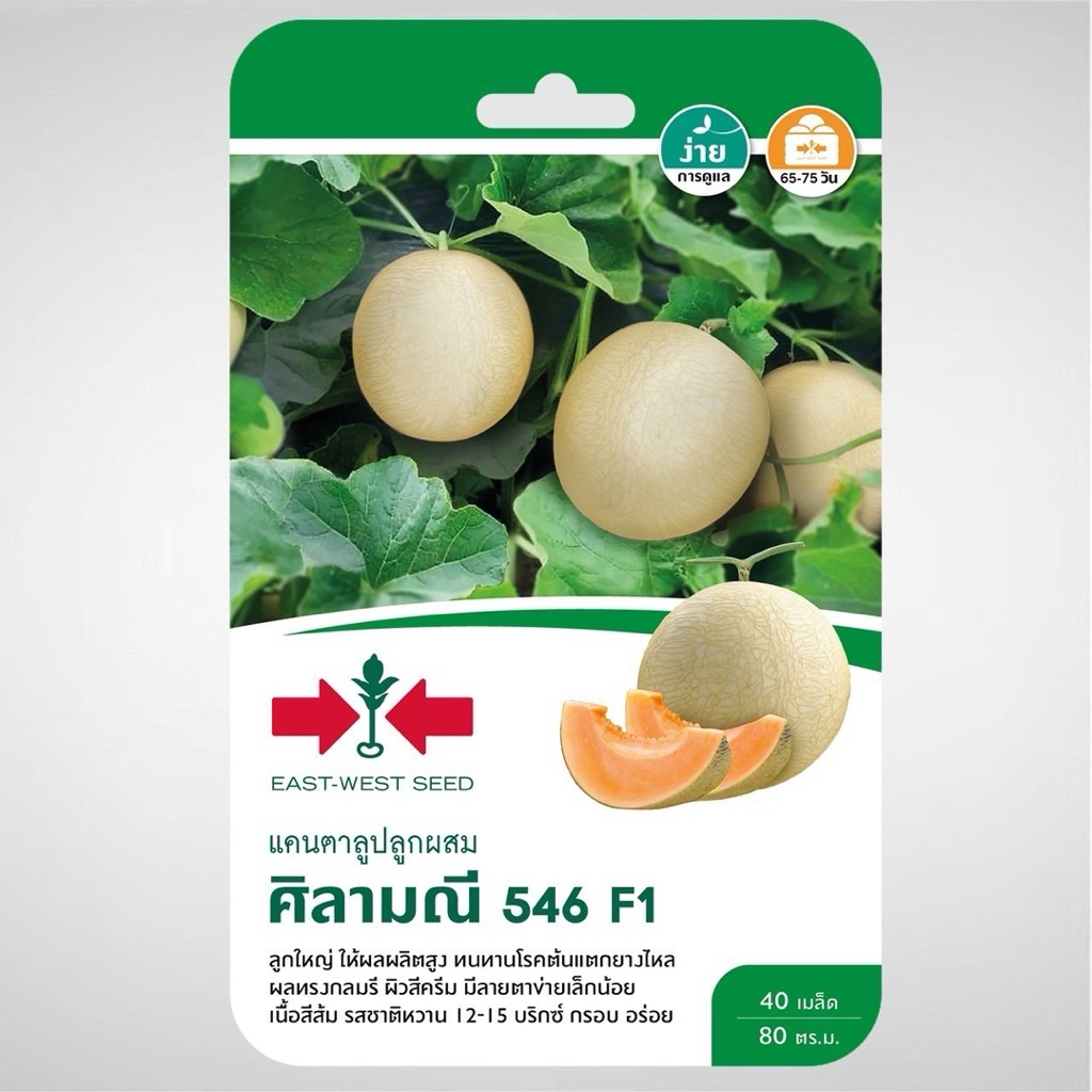 Sorndang(ศรแดง) GGEW เมล็ดพันธุ์ แคนตาลูป ศิลามณี 546 40 เมล็ด ตราศรแดง Cantaloupe