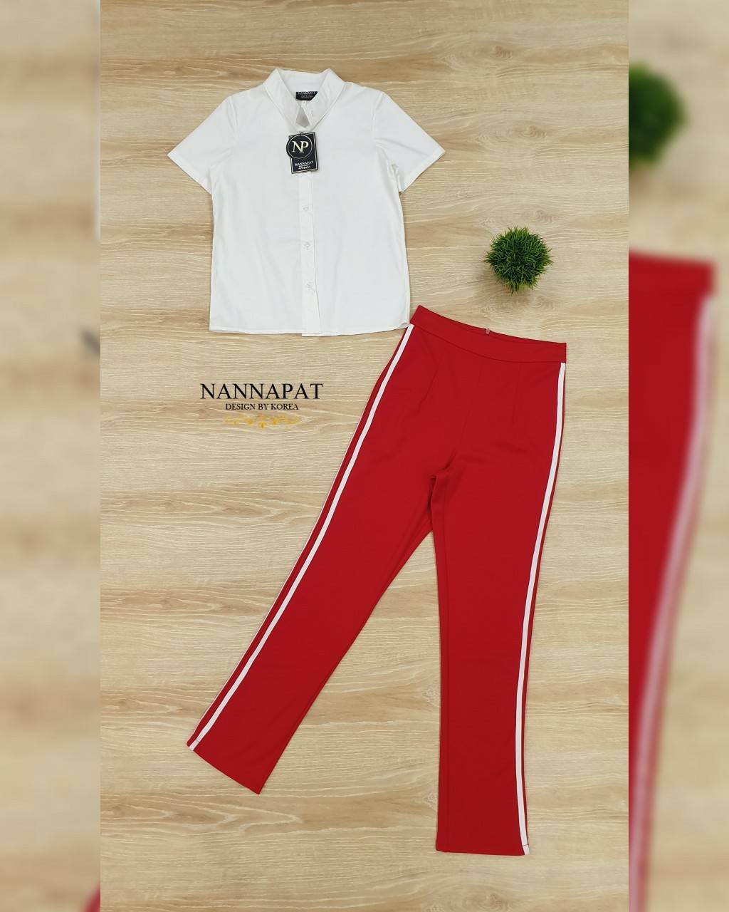 สื้อเชิตคอปก กระดุมหน้า