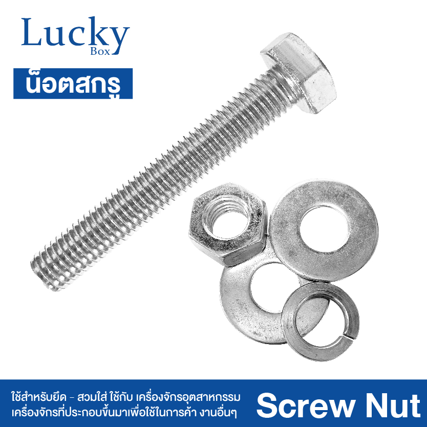 น็อต+สกรู+2แหวน SCREW NUT ขนาด 1/2x2" (4 หุน ยาว 2 นิ้ว)