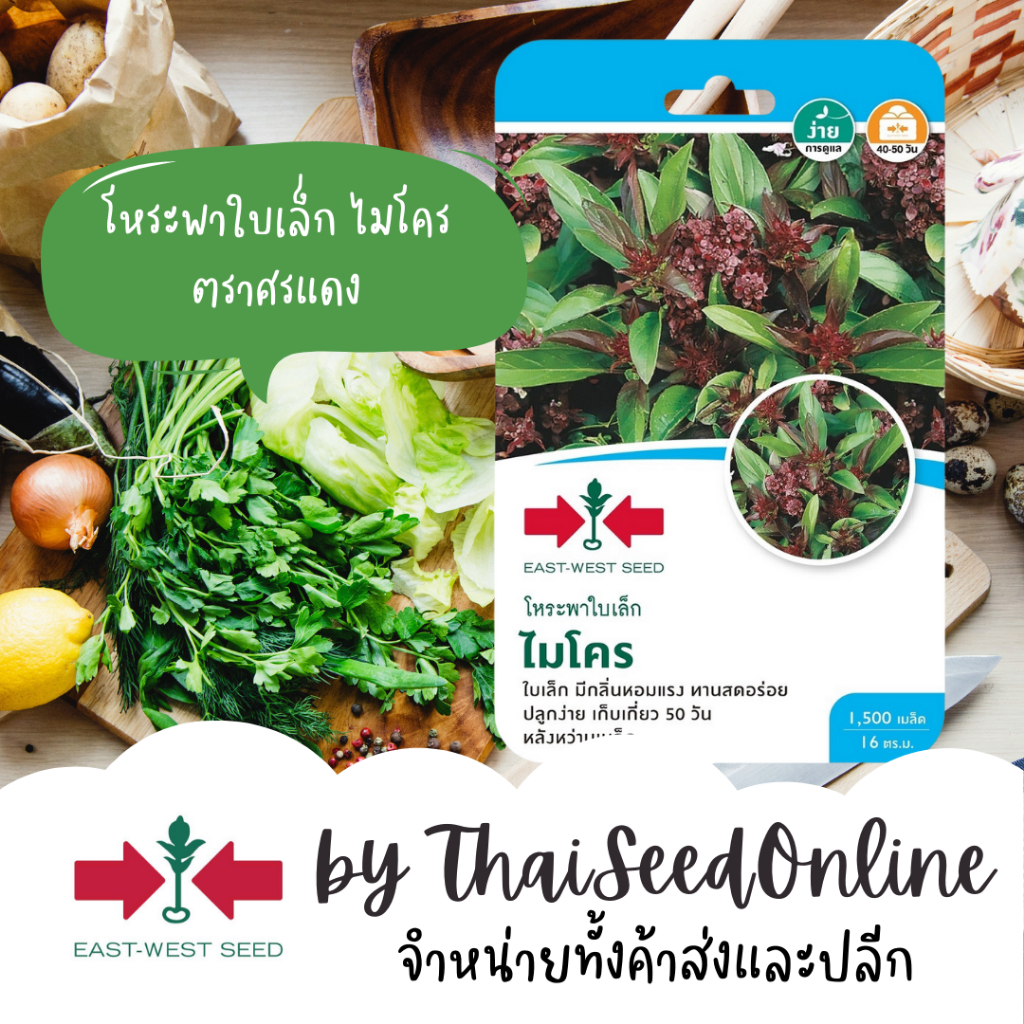 Sorndang(ศรแดง) GGEW เมล็ดพันธุ์ซฟ โหระพาไมโคร โหระพาใบเล็ก 1500เมล็ด ตราศรแดง