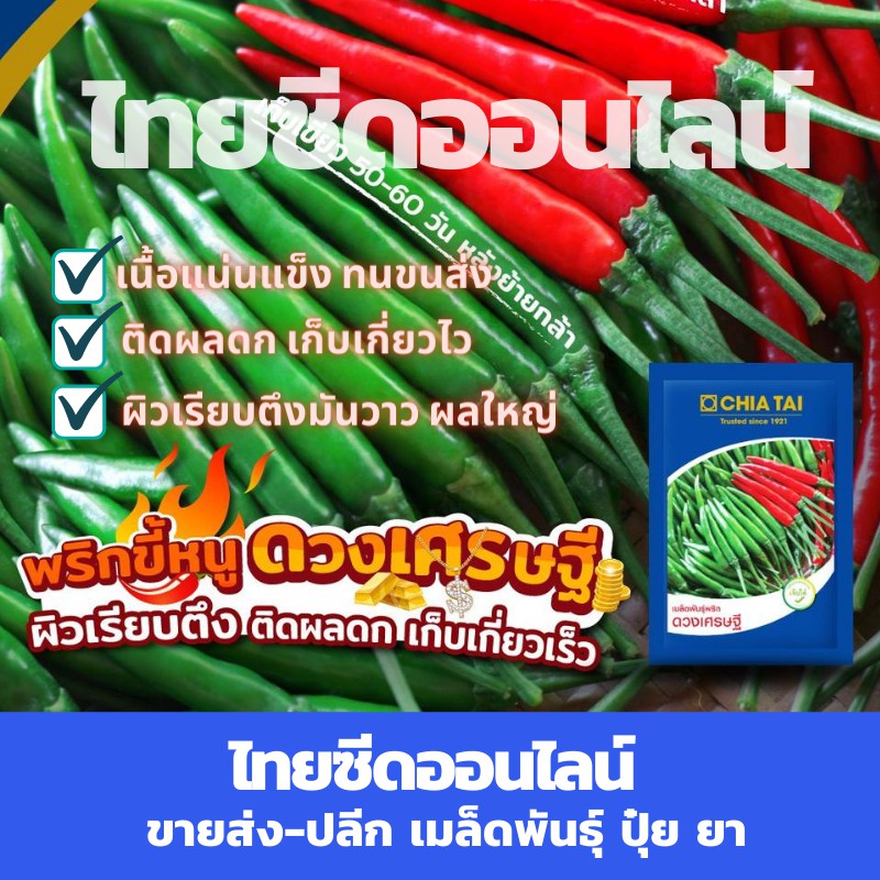 CTCOM ซองใหญ่ 1000เมล็ด พริกขี้หนูลูกผสม ดวงเศรษฐี ตราเจียไต๋