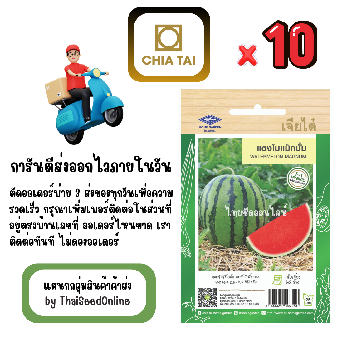 CTF1 x 10 เมล็ดผักซองเจียไต๋ แตงโม ไร้เมล็ด แม็กนั่ม สินค้ายกแพ็ค