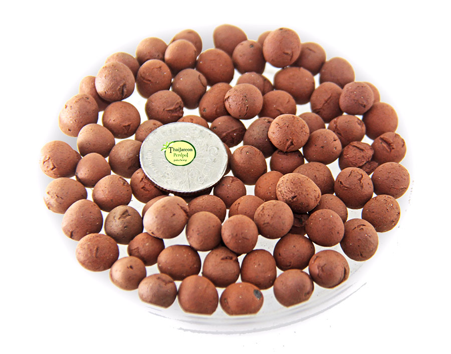 Popper / Pebbles ป็อบเปอร์ วัสดุดินเผา เม็ดดินเผา มวลเบา สำหรับ ปลูกพืช size"L" บรรจุ 1 กิโลกรัม