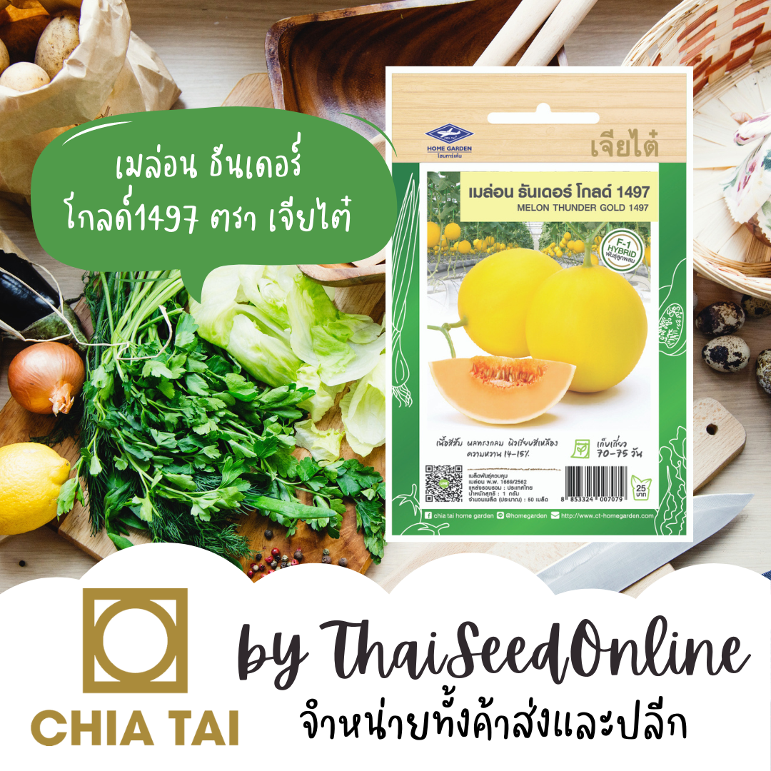 CTF1 เมล็ดพันธุ์ เมล่อน ธันเดอร์โกลด์ 1497 50 เมล็ด ตราเจียไต๋ Melon