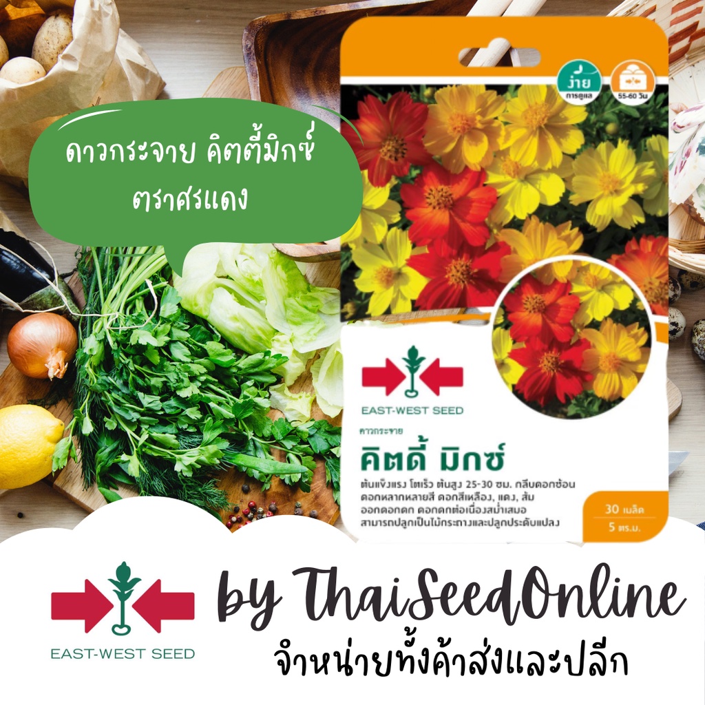 GGEW เมล็ดพันธุ์ซฟ ดาวกระจายคิตตี้มิกซ์ ตราศรแดง Cosmos