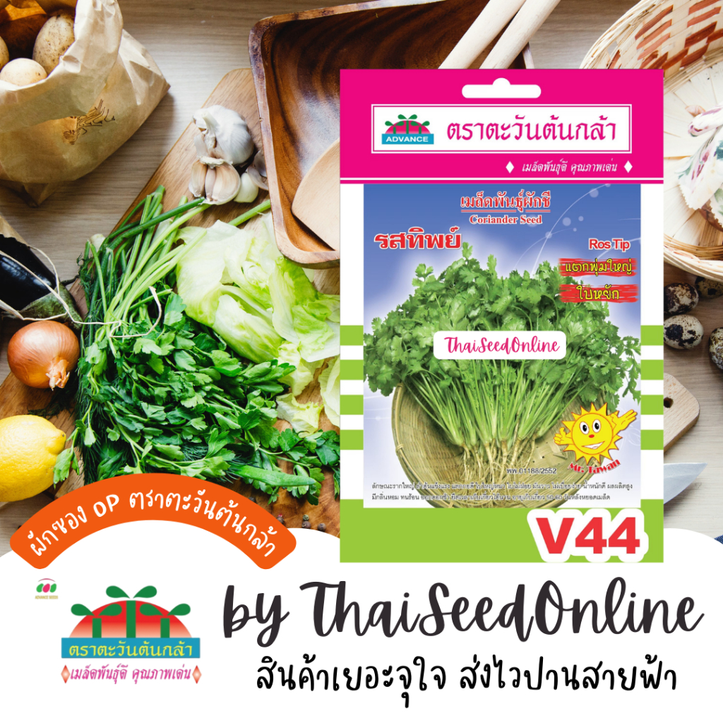 Advance Seeds(ตราตะวันต้นกล้า) ADVOP ซฟ เมล็ดพันธุ์ ผักชีรสทิพย์ 10กรัม ประมาณ 1300 เมล็ด หอมป้อม หอมป้อมใหญ่ ตราตะวันต้นกล้า V44