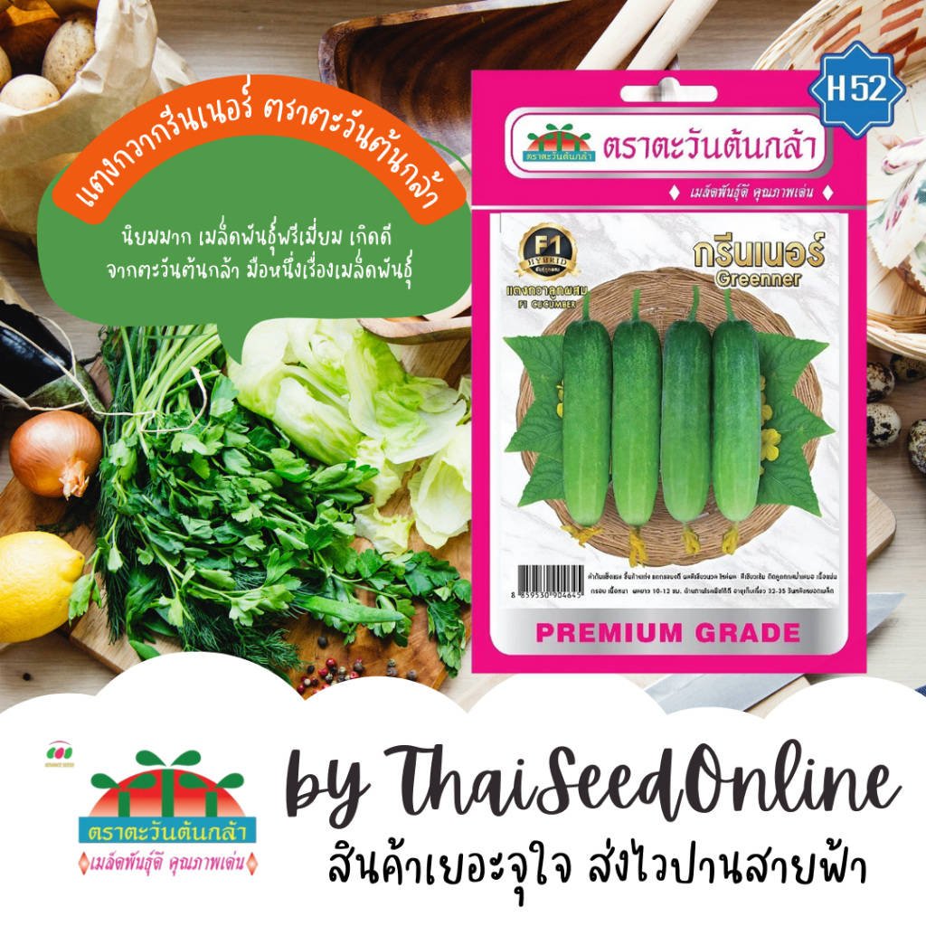 Advance Seeds(ตราตะวันต้นกล้า) ADVF1 เมล็ดพันธุ์ แตงกวาลูกผสมF1 กรีนเนอร์ ตราตะวันต้นกล้า H52
