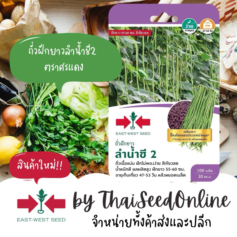 Sorndang(ศรแดง) GGEW เมล็ดพันธุ์ซฟ ถั่วฝักยาว ลำน้ำชี2 100 เมล็ด ตราศรแดง ถั่วเนื้อ Long Yard Bean