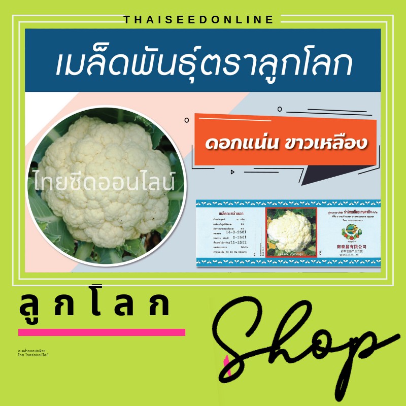 NTCOM เมล็ดพันธุ์ กป 15 กรัม กะหล่ำดอกปุยฝ้าย ตราลูกโลก Cauliflower Seeds