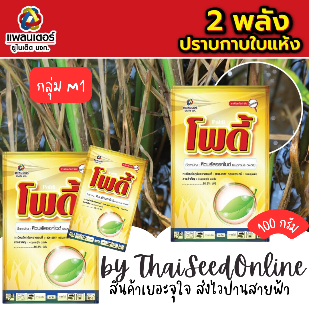 PTU โพดี้ 100กรัม Cuprous oxide 100g. แก้ขอบใบแห้ง ใบส้ม แบคทีเรีย บริษัท แพลนเตอร์ยูไนเต็ด จำกัด