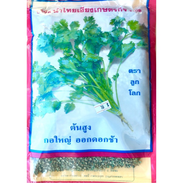 เมล็ดพันธุ์ ถุง 300 กรัม ผักชีต้นใหญ่ ผักชี จันทร์แรม ตราลูกโลก
