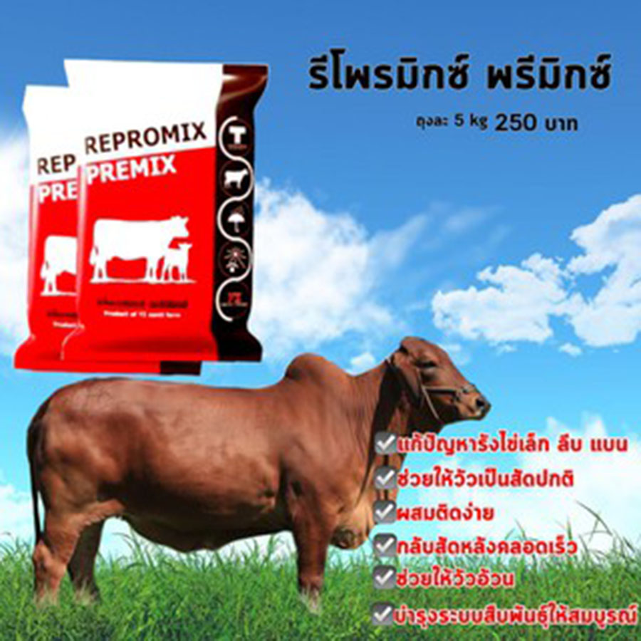 รีโพรมีกซ์พรีมิกซ์ Repromix Premix อาหารเสริมวัว อาหารวัว กินเก่ง กลับสัดไว ผสมติดง่าย บำรุงรังไข่ วัวนม วัวเนื้อ