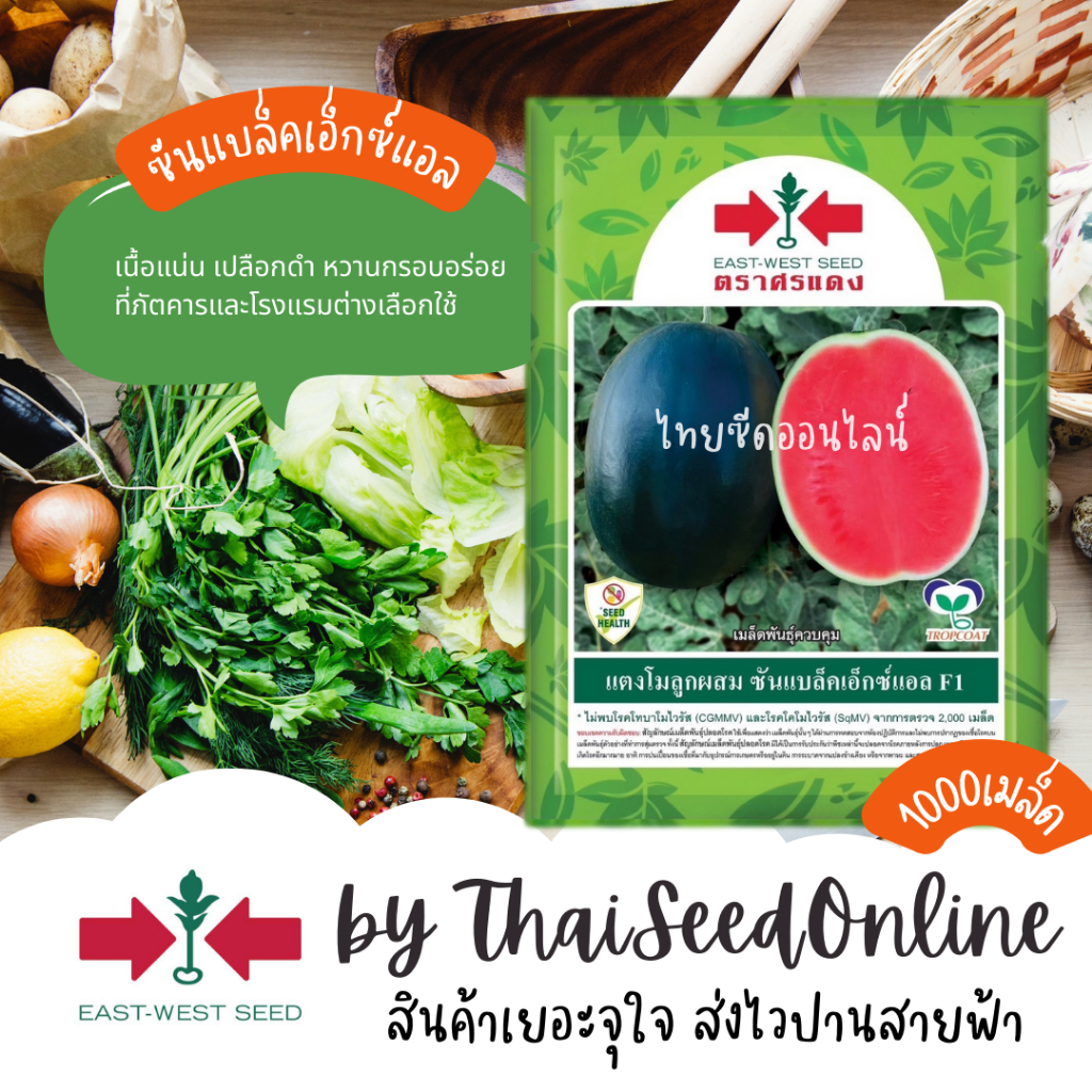 Sorndang(ศรแดง) EWCOM เมล็ดพันธุ์ แตงโม ซันแบล็คเอ็กซ์แอล (ประมาณ 1000เมล็ด) ตราศรแดง SUN BLACK XL WATERMELON