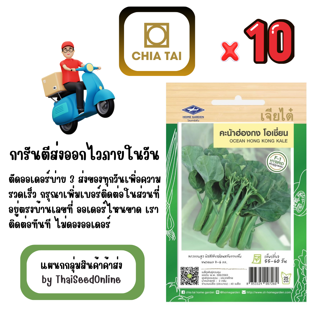 CTF1 x 10 เมล็ดผักซองเจียไต๋ คะน้าฮ่องกง โอเชี่ยน สินค้ายกแพ็ค