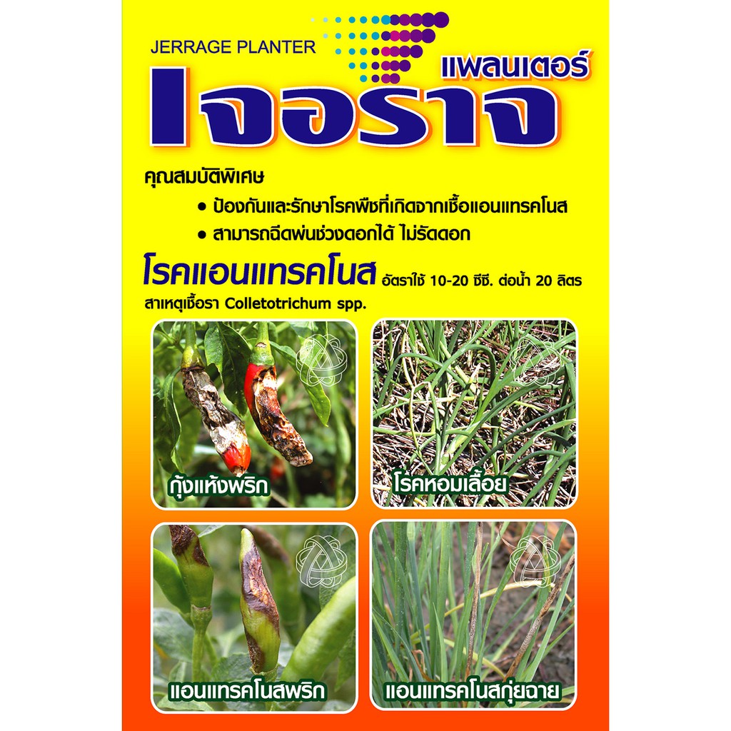 PTU เจอราจ 100 ซีซี Prochloraz รักษาโรคกุ้งแห้งในพริก แอนแทรคโนส บริษัท แพลนเตอร์ ยูไนเต็ด จำกัด