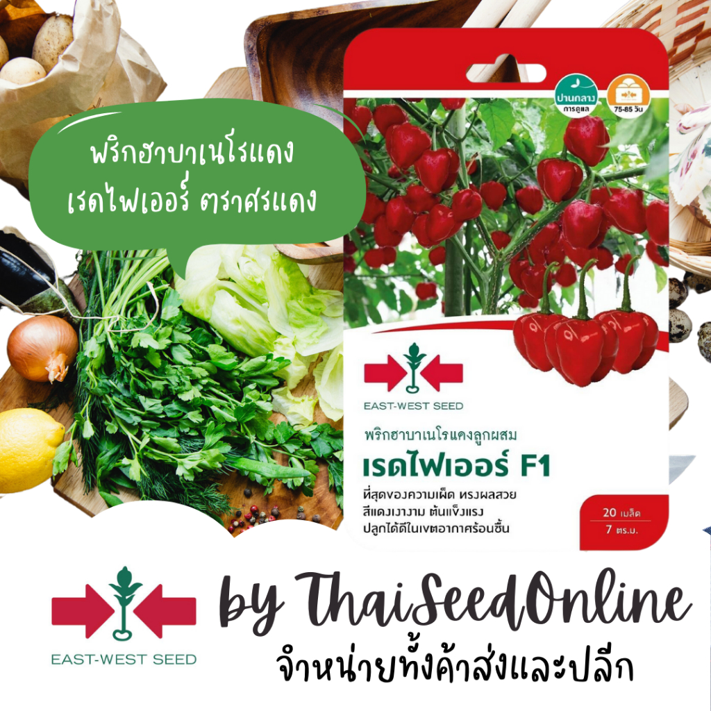 Sorndang(ศรแดง) GGEW เมล็ดพันธุ์ พริกปีศาจ พริกฮาบาโนโร่ เรดไฟเออร์ 20เมล็ด ตราศรแดง Red Habanero Chilli