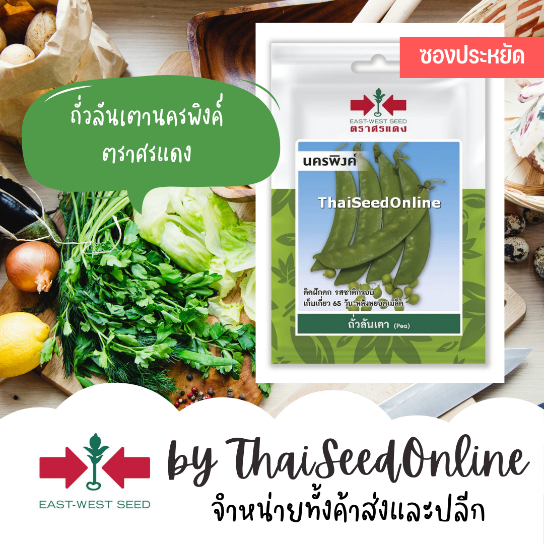 ศรแดง VP3 ซฟ เมล็ดพันธุ์ ถั่วลันเตา นครพิงค์ 10เมล็ด ตราศรแดง Snap Pea 豌豆