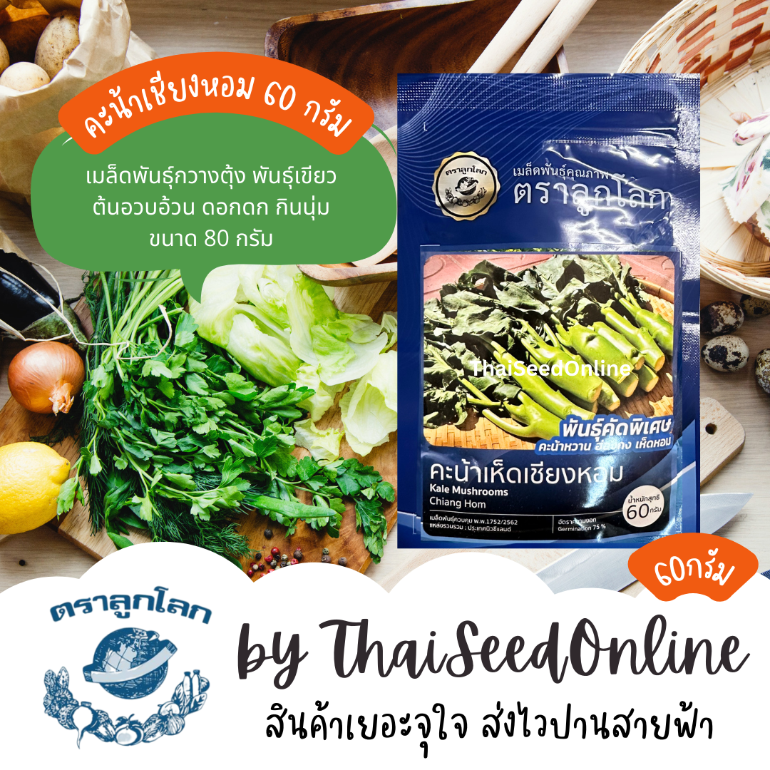 NTC เมล็ดพันธุ์ ขนาด 60กรัม คะน้าเห็ดหอม คะน้าหวาน คะน้าเชียงหอม ตราลูกโลก